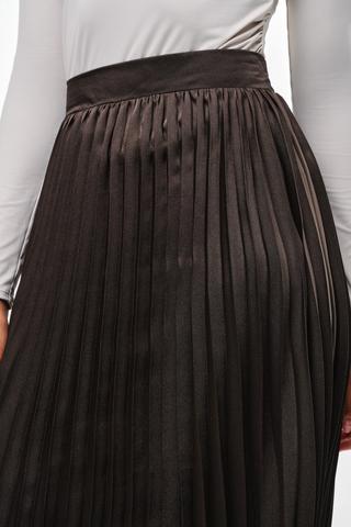 Pleated Skirt