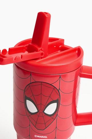 Spider-Man Water Bottle