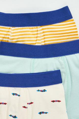 3 Pack Trunks