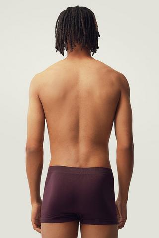 3 Pack Trunks