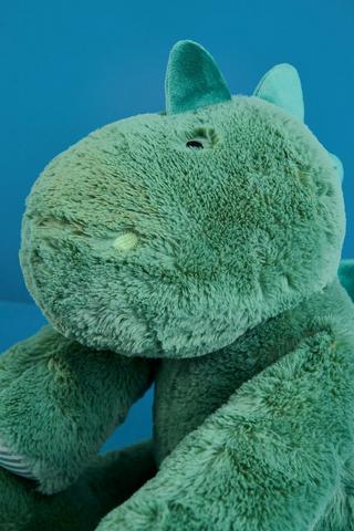 Dino Soft Toy -Medium