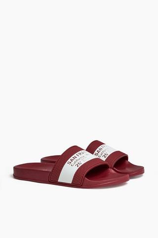 Slides