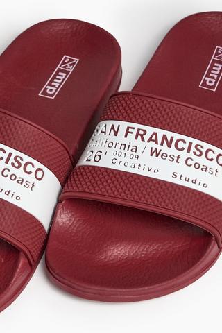 Slides