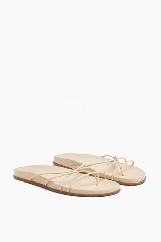 Thong Sandal