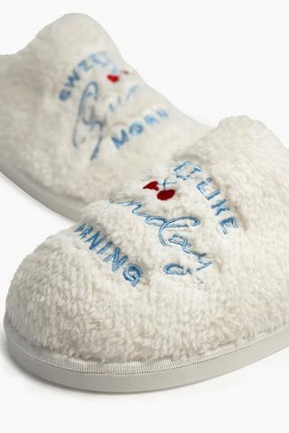 Embroidered Slipper