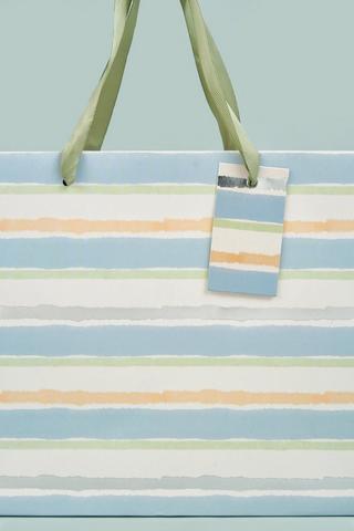Medium Gift Bag