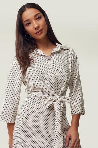 Polka Dot Shirt Dress