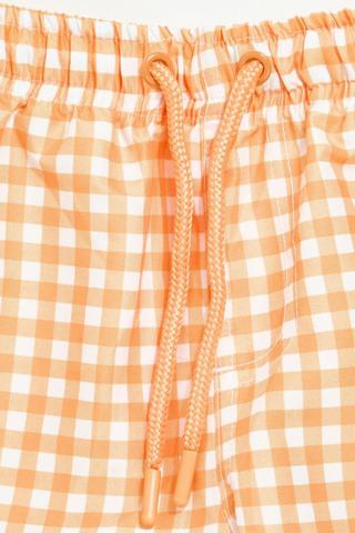 Gingham Swim Shorts