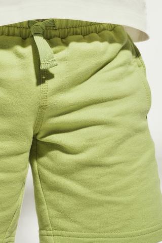 Bermuda Shorts