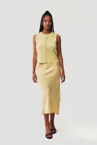 Slip Skirt