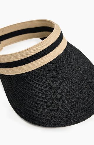 Sun Visor
