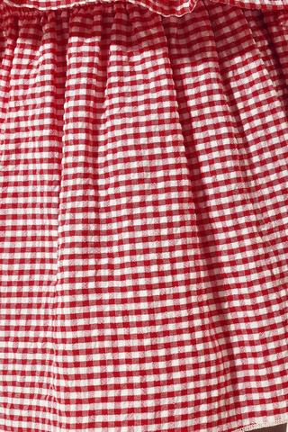 Gingham Skirt