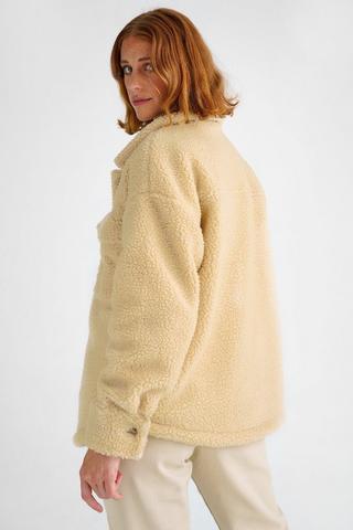 Teddy Shacket