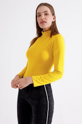 Fitted Polo Neck