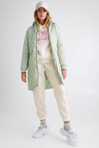 Hooded Puffer