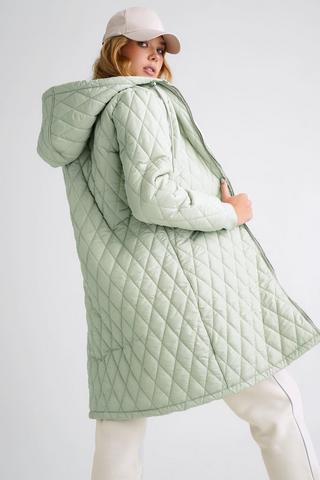 Hooded Puffer