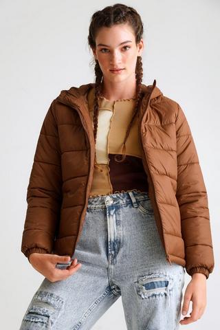 Hooded Puffer