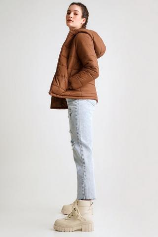 Hooded Puffer