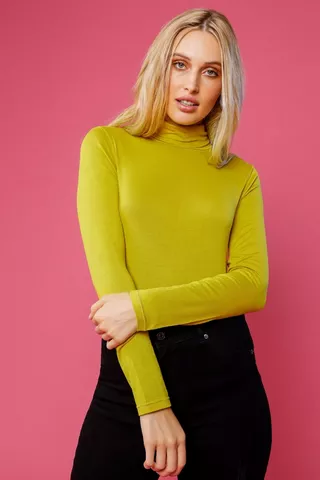 Fitted Polo Neck