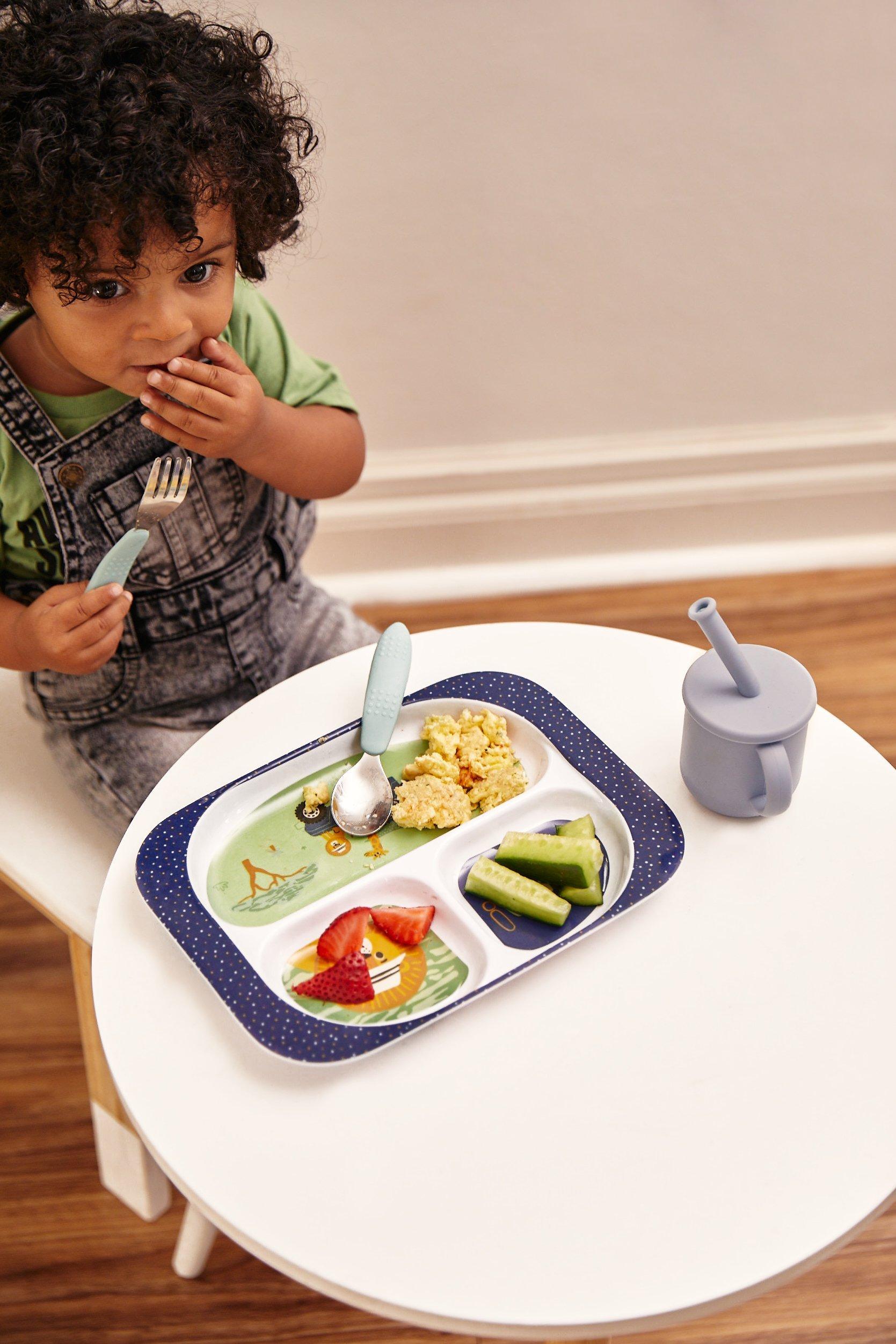 Kids divider plate hotsell