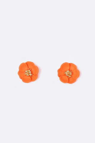 Stud Earings