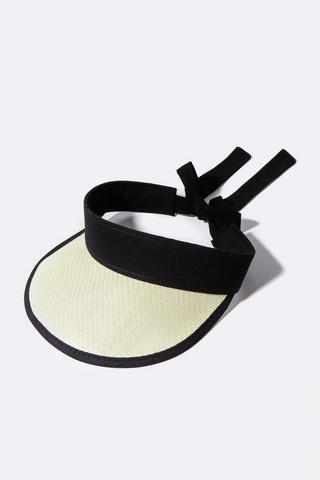 Visor