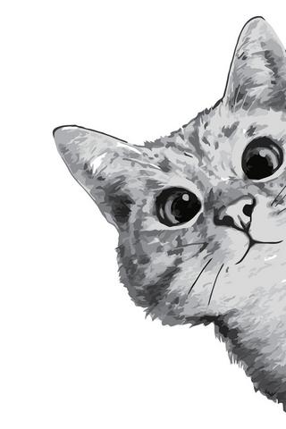 Paint By Numbers-kitten