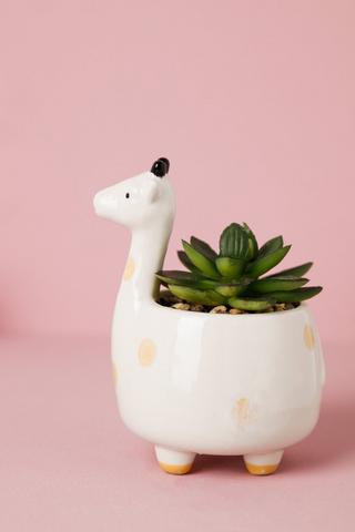 Ceramic Planter