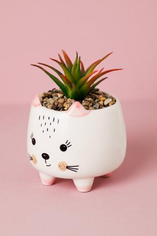 Ceramic  Planter