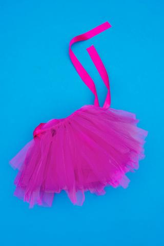 Pet Clothing - Tutu