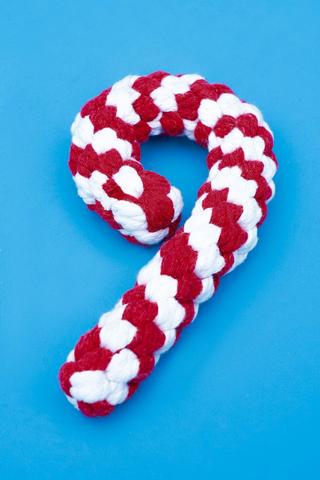 Rope Toy