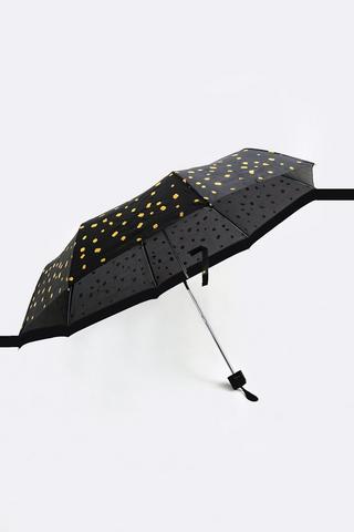 Umbrella