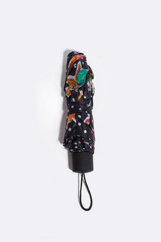 Umbrella
