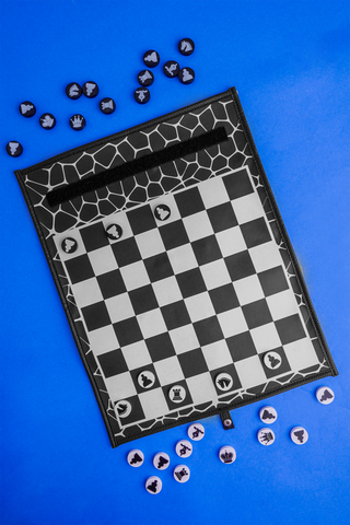 Checkers Set