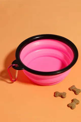 Collapsable Bowls
