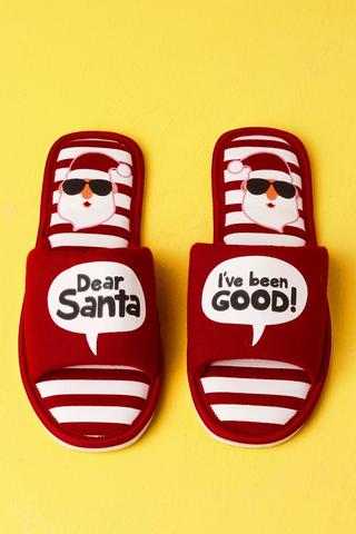 Festive Slippers