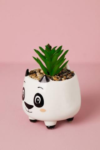Ceramic  Planter