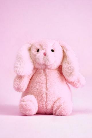 Fuzzy bunny outlet toy