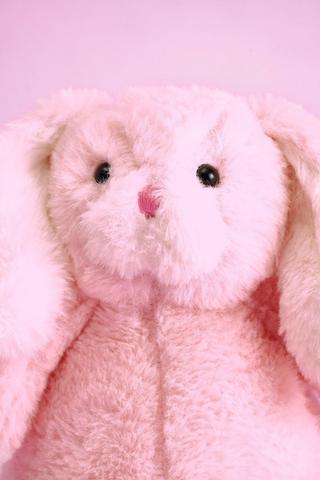 Fuzzy Bunny Teddybear