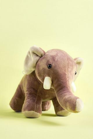 Fuzzy Dino Teddy Bear