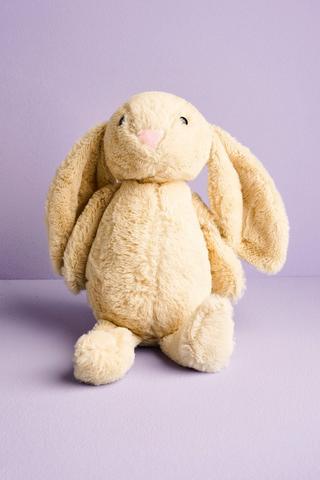 Plush Bunny Soft Toy