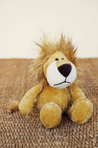 Cuddly Lion