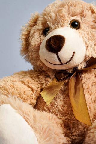 Softie Bear