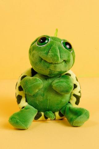 Soft Round Turtle