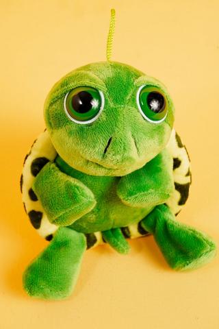 Soft Round Turtle