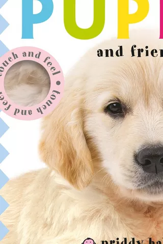 Touch + Feel: Puppy + Friends Board Book