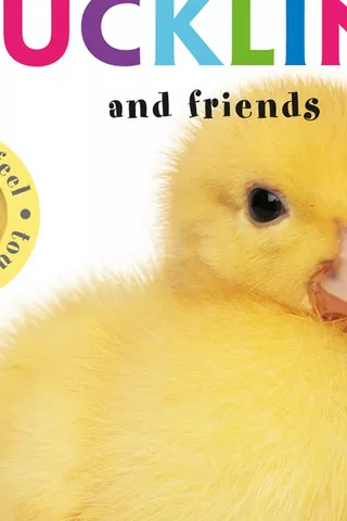 Touch + Feel: Duckling + Friends Board Book