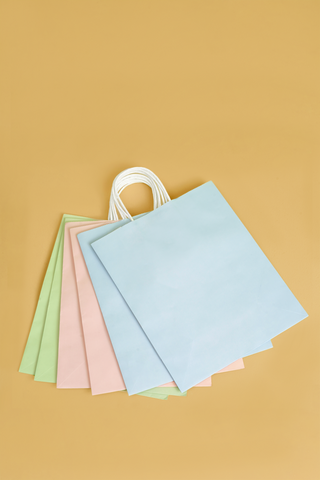 6 Pack Medium Gift Bags