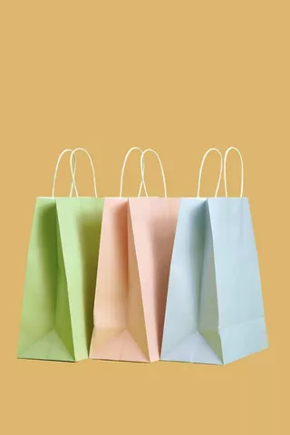 6 Pack Medium Gift Bags