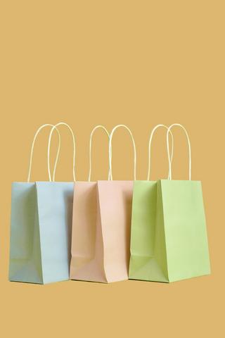 6 Pack Small Gift Bags